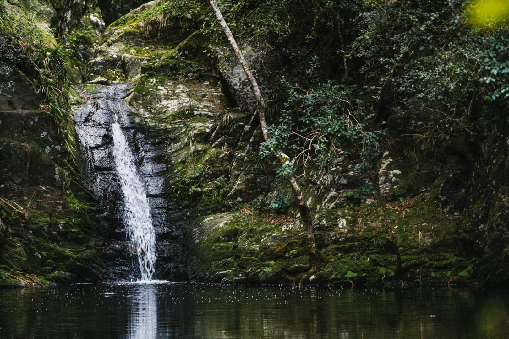 Moonshine On Whiskey Creek Villa The Crags ภายนอก รูปภาพ