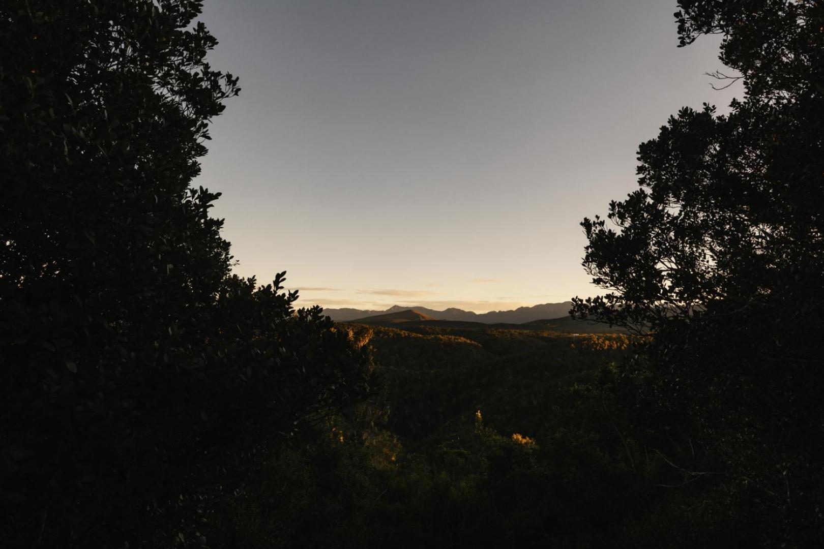 Moonshine On Whiskey Creek Villa The Crags ภายนอก รูปภาพ