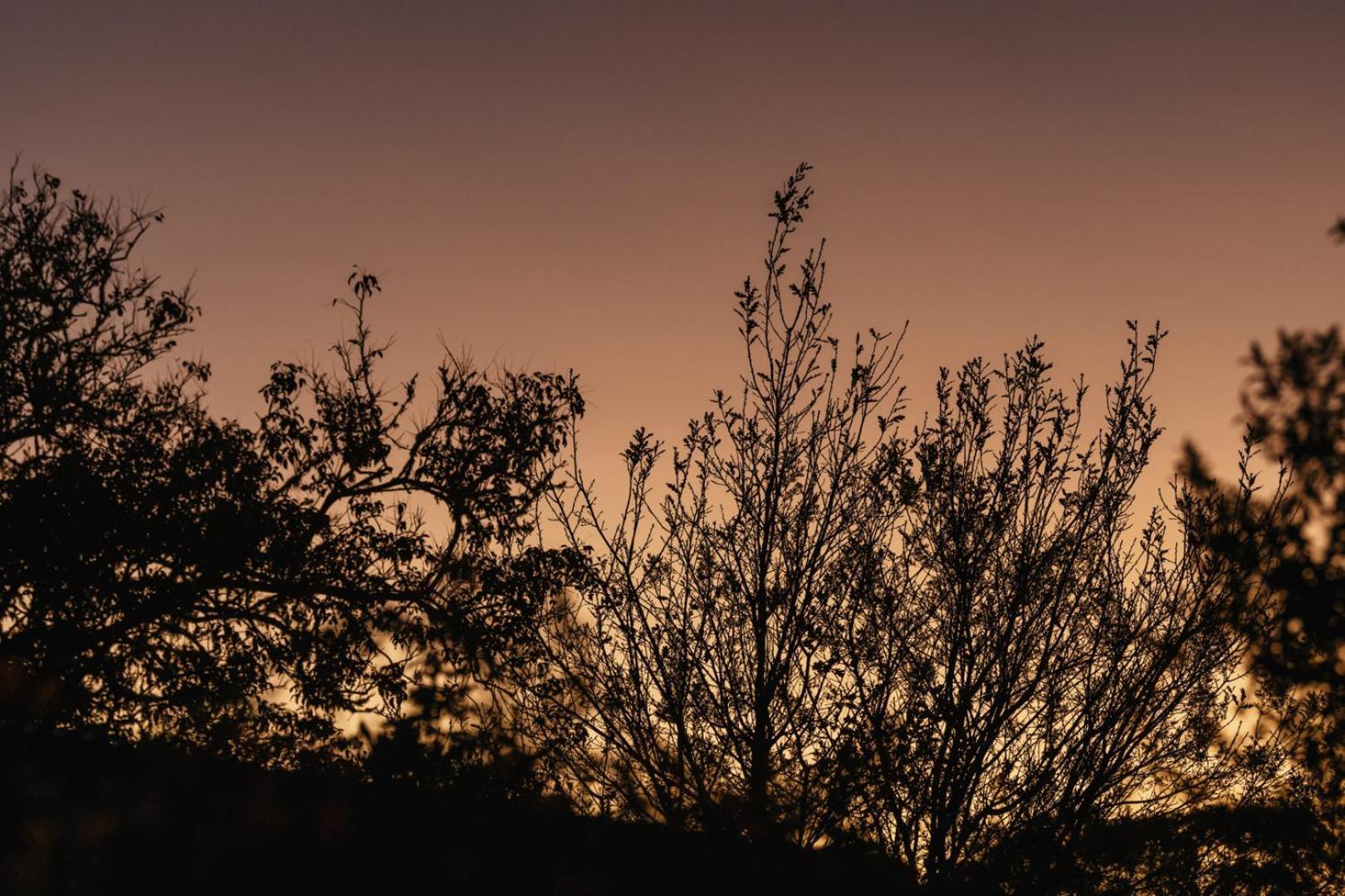 Moonshine On Whiskey Creek Villa The Crags ภายนอก รูปภาพ