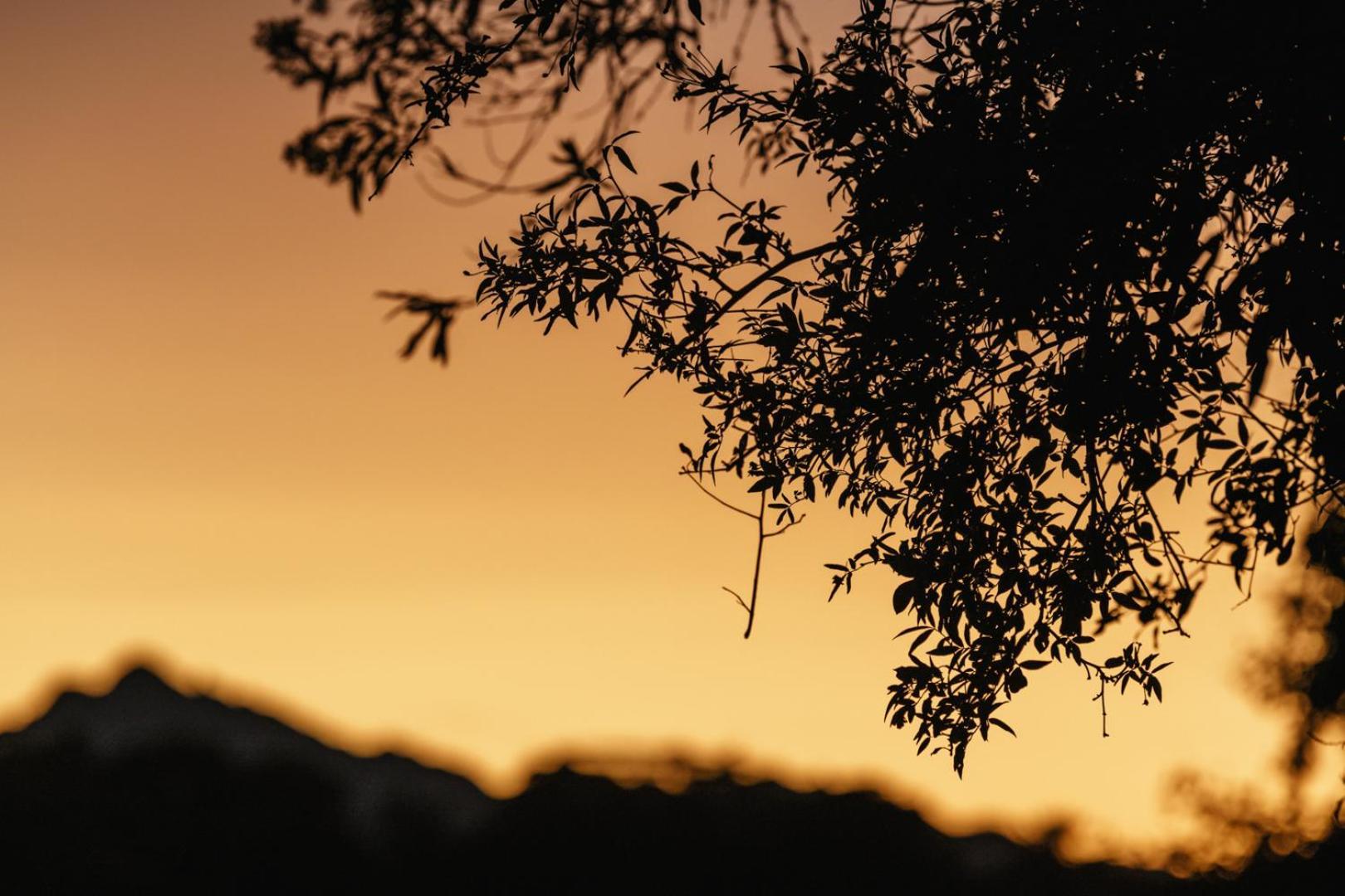 Moonshine On Whiskey Creek Villa The Crags ภายนอก รูปภาพ