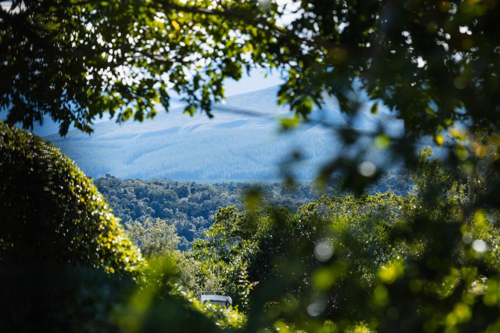Moonshine On Whiskey Creek Villa The Crags ภายนอก รูปภาพ