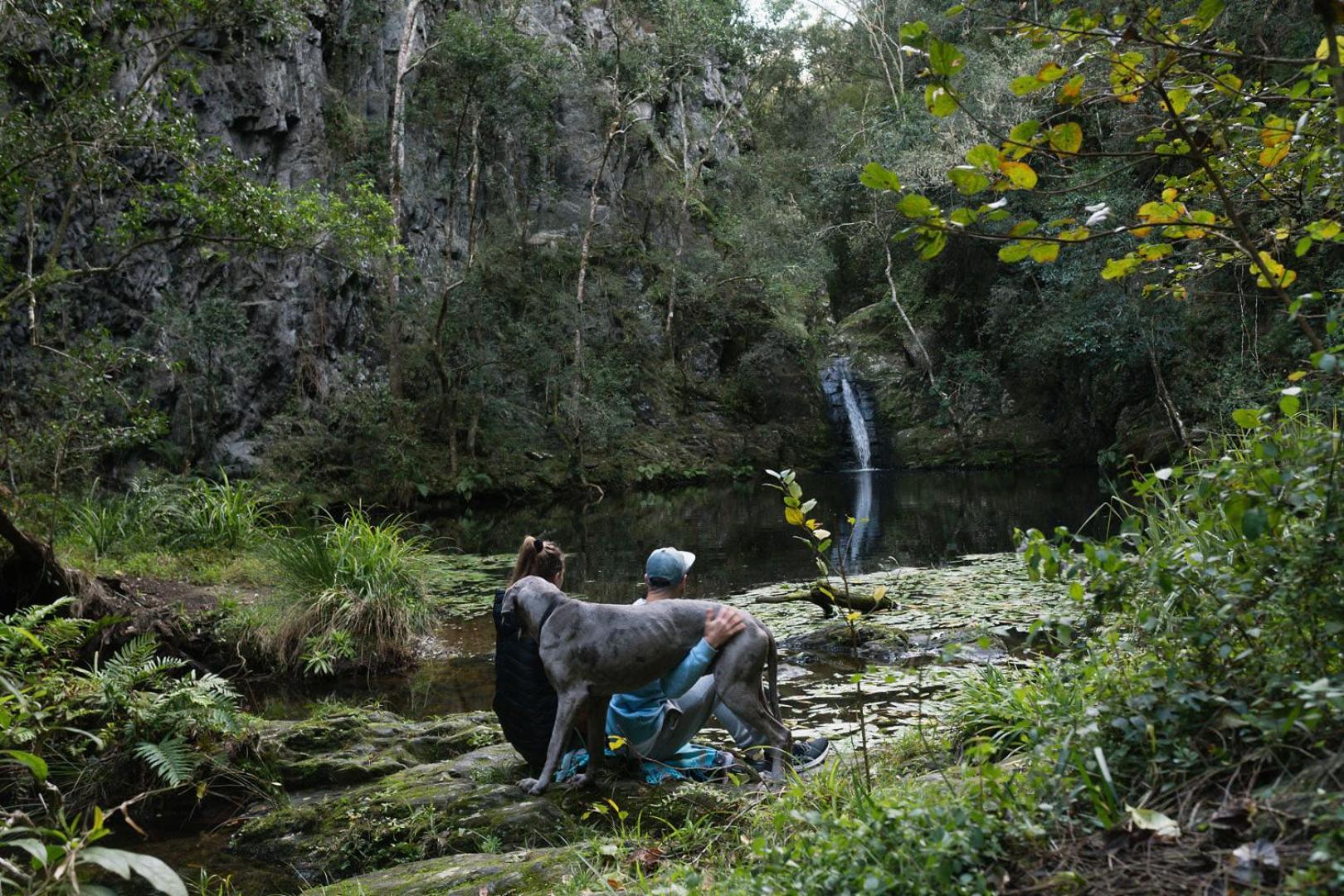 Moonshine On Whiskey Creek Villa The Crags ภายนอก รูปภาพ