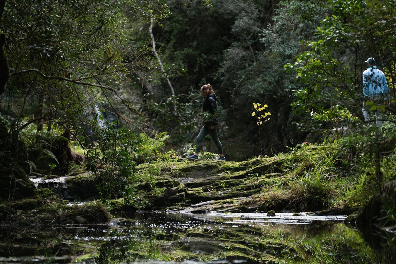 Moonshine On Whiskey Creek Villa The Crags ภายนอก รูปภาพ